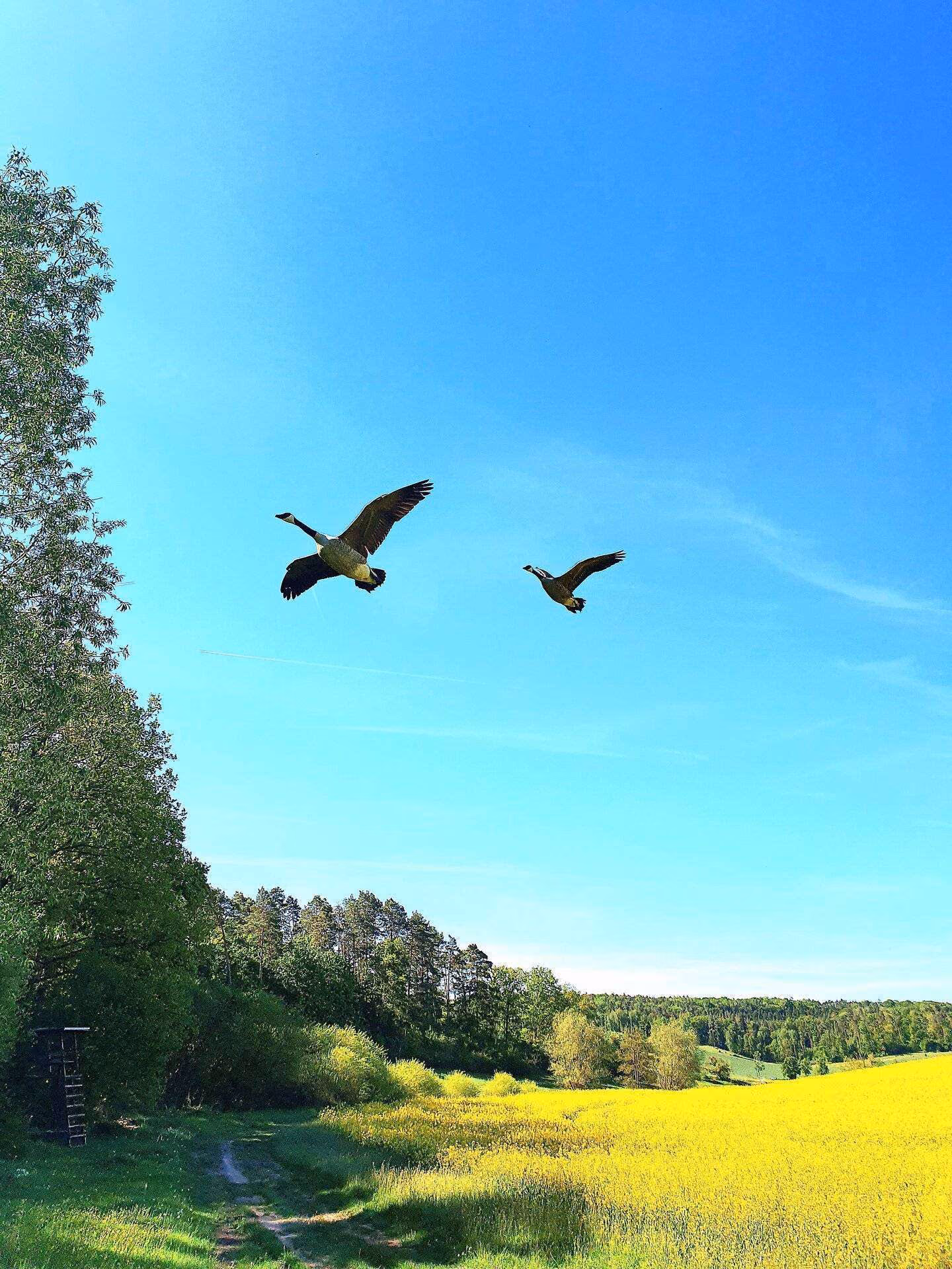 Einöd Landschaft