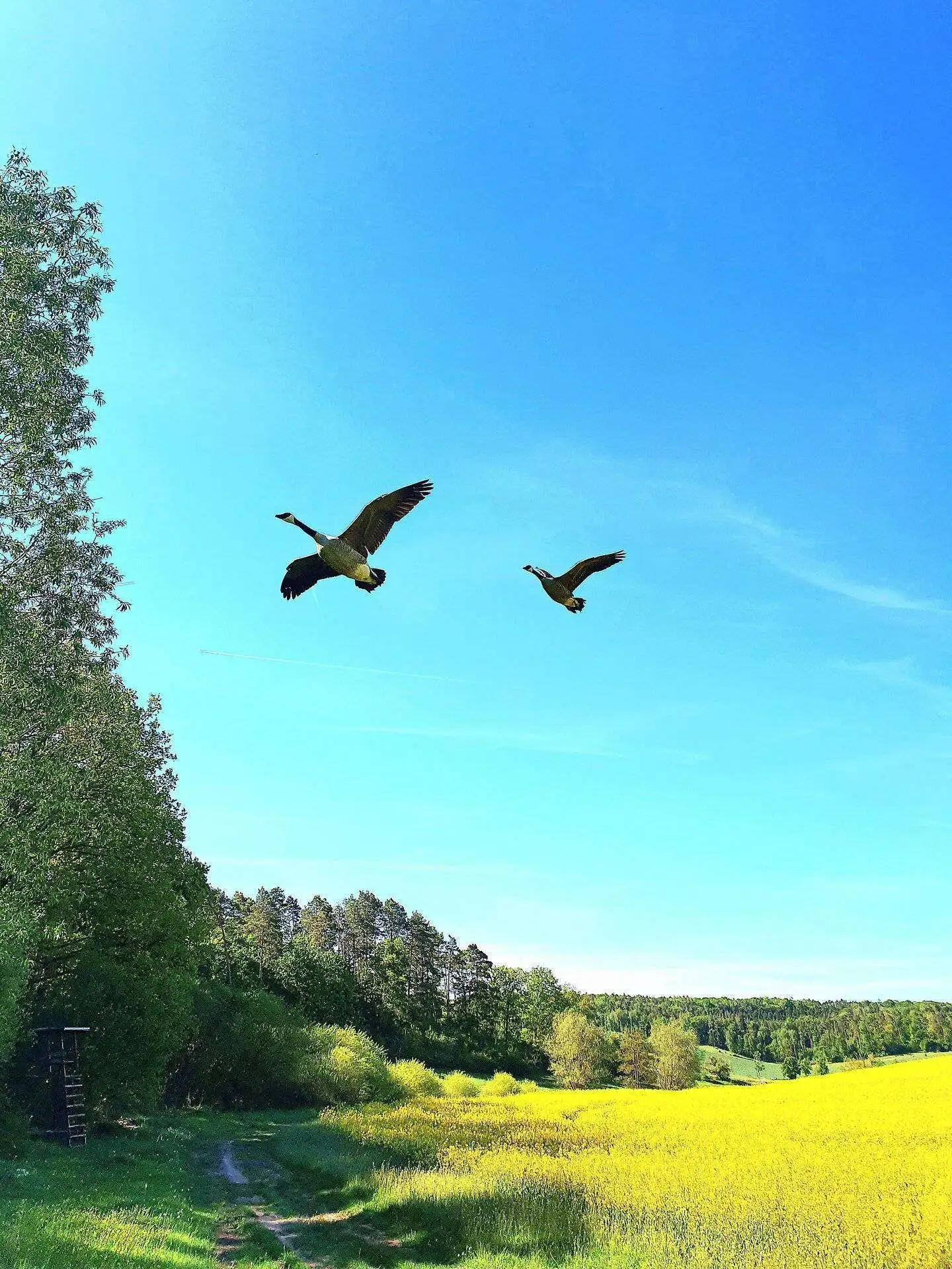 Einöd Landschaft