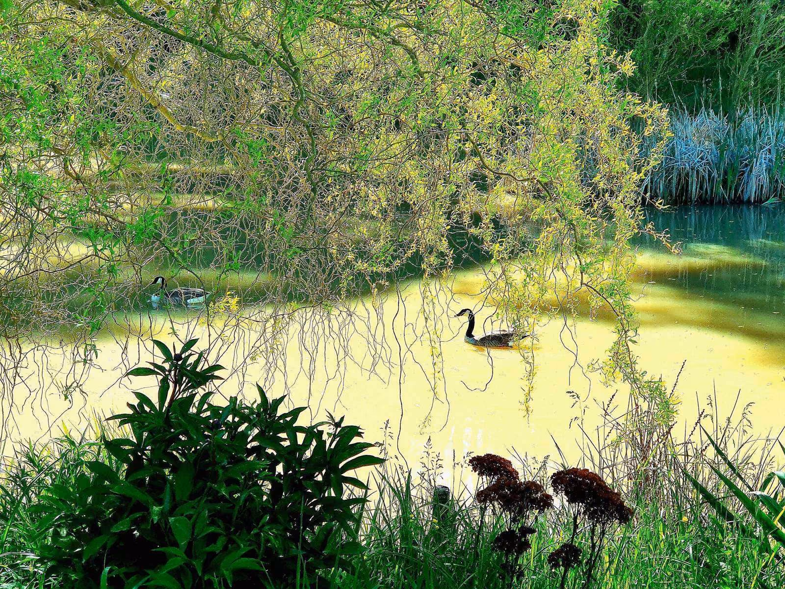 Natur in Thüringen