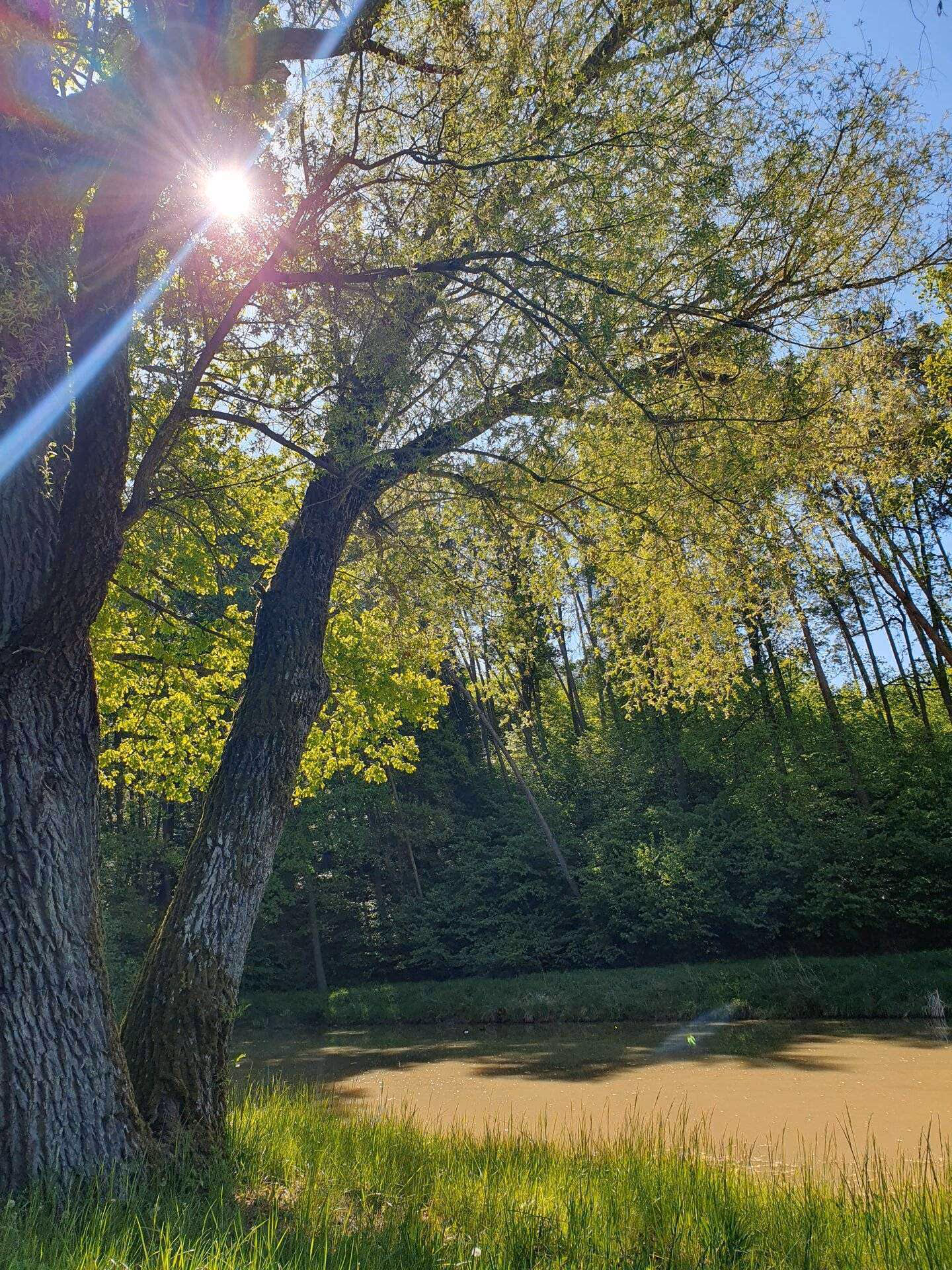 Einöd Blick