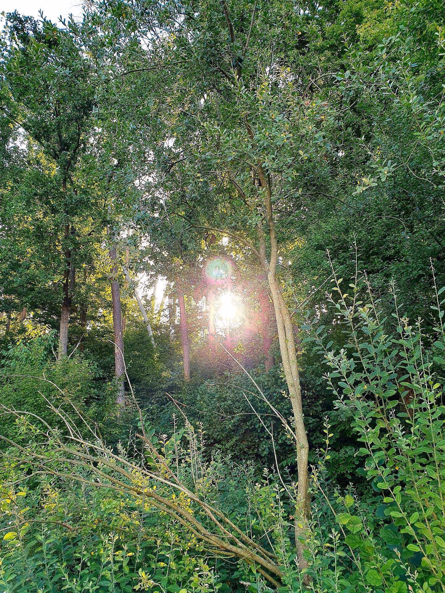 Einöd Landschaft