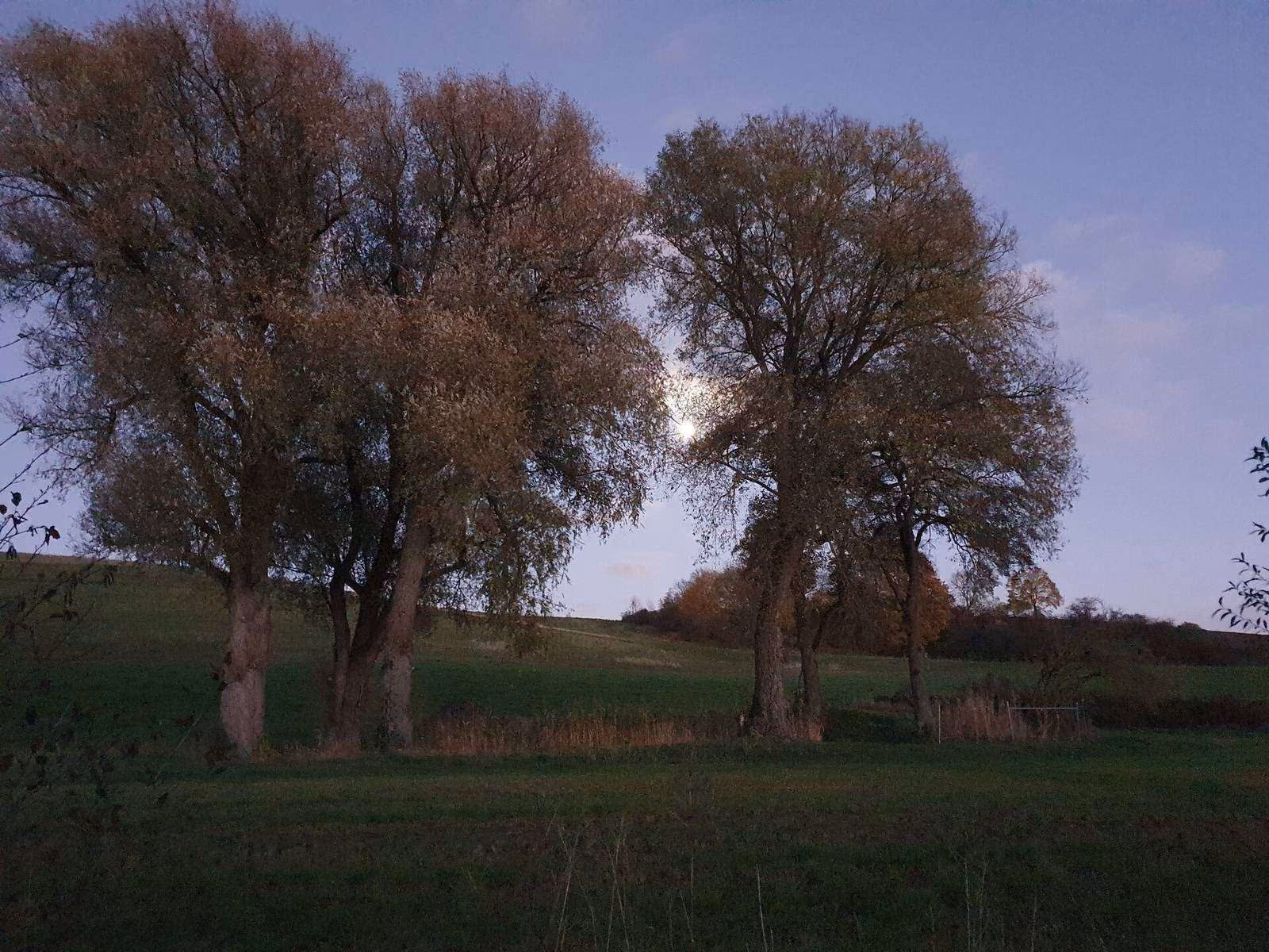 Einöd Natur