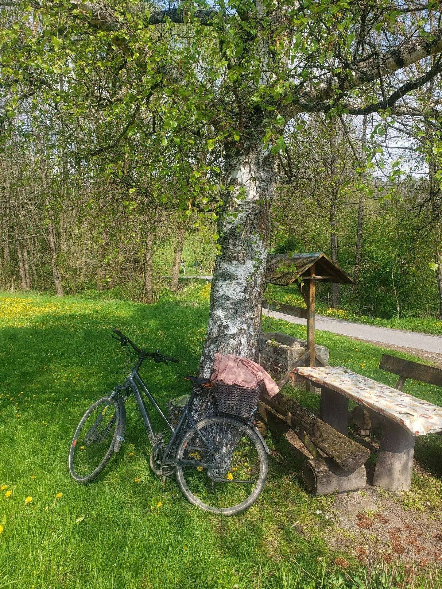 Cycling Thuringia