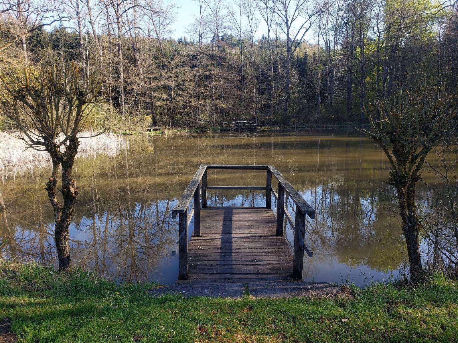 Kuhsee