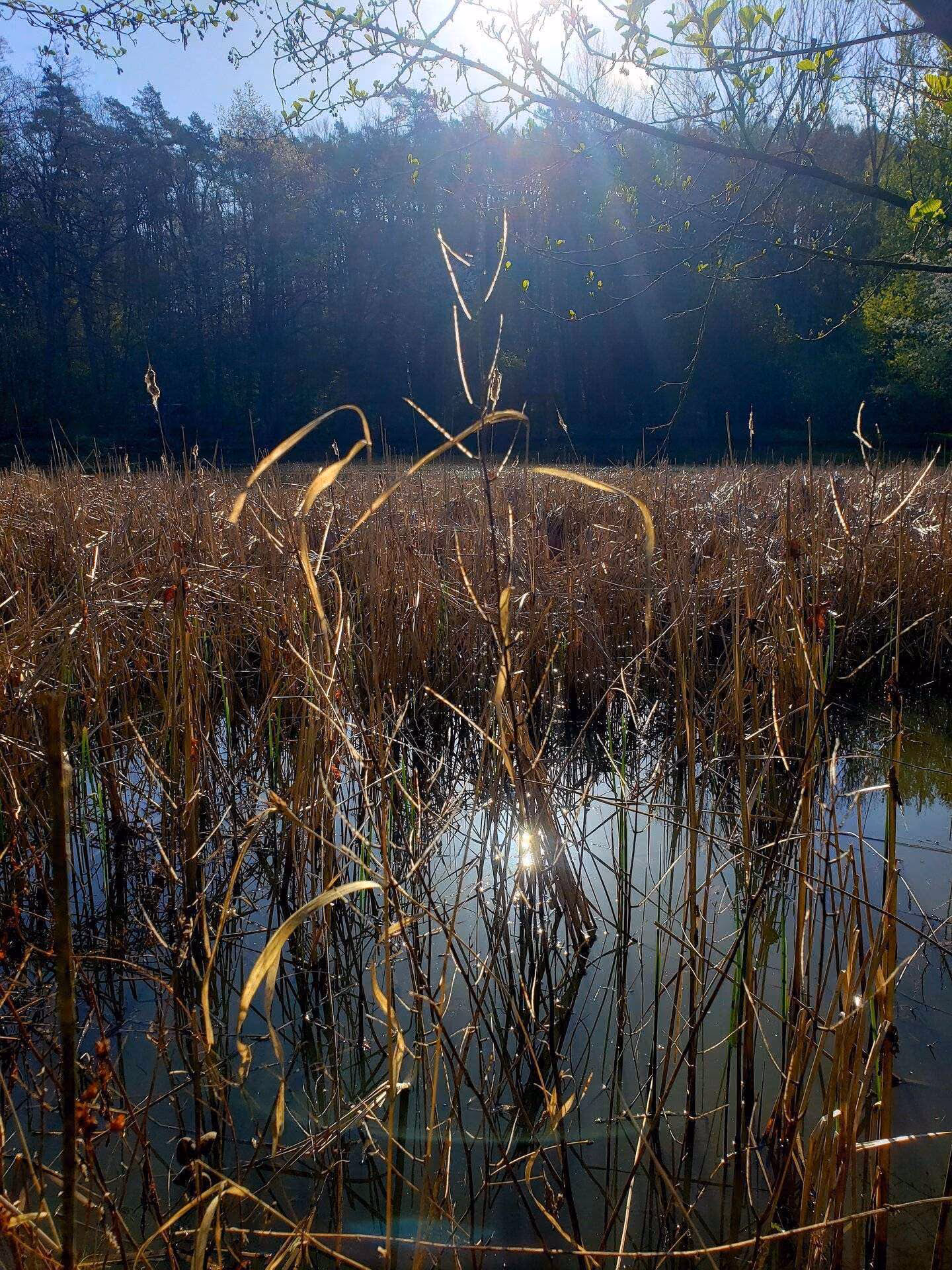 Kuhsee Ufer