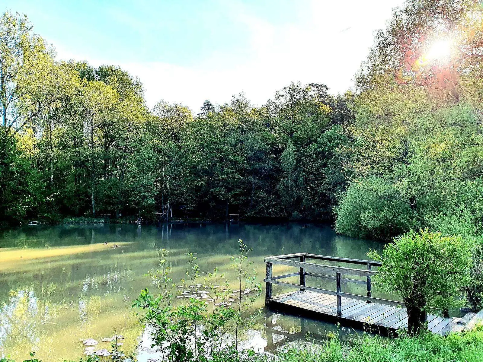 Kuhsee Landschaft