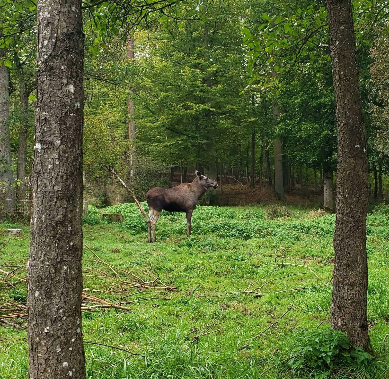 Nature